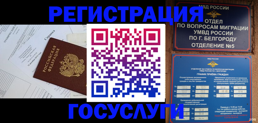 временная прописка в Фролово